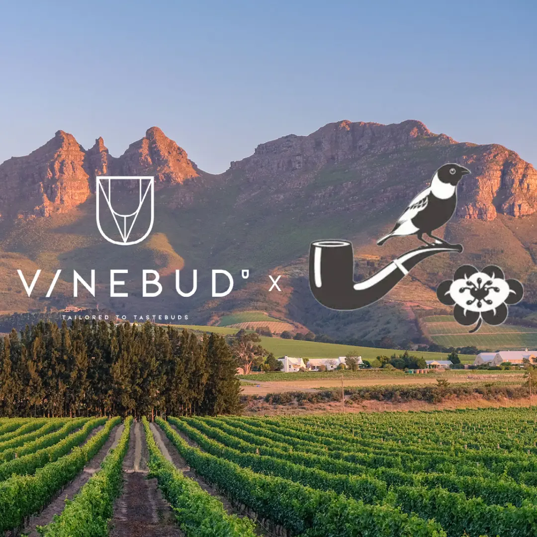 Image of Vinebud x Babylonstoren